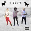 BCNTJ - 3 Goats